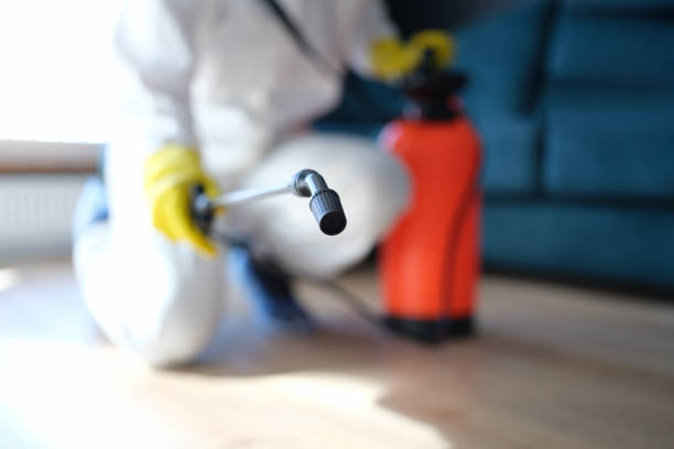 Best Black Mold Removal  in Laware City, DE