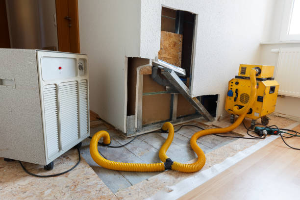 Best Basement Mold Removal  in Laware City, DE